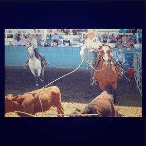 Meet your Posher, Ella